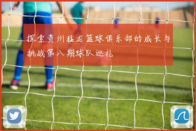 探索贵州猛龙篮球俱乐部的成长与挑战第八期球队巡礼