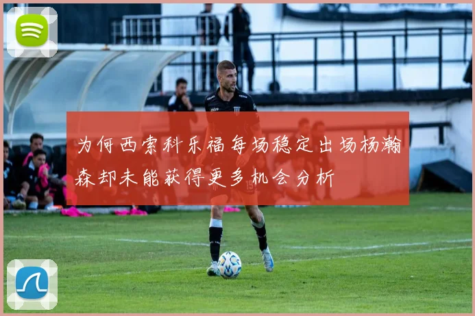 为何西索科乐福每场稳定出场杨瀚森却未能获得更多机会分析