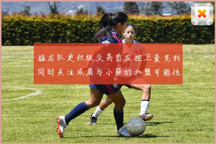 猛龙队更积极交易首发控卫奎克利同时关注浓眉与小萨的加盟可能性